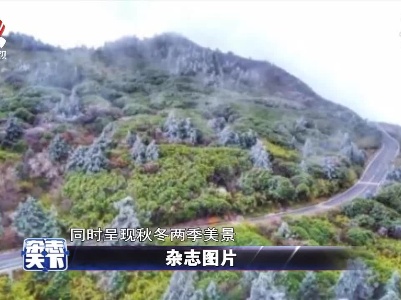 杂志天下20211029