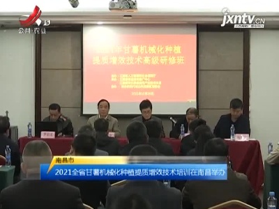三农要闻20211028