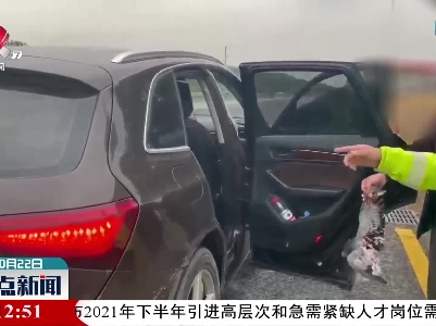高速上违章停车 竟是为了它