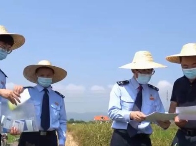 【乡村振兴看一线】广东惠州：减税降费惠“三农” 乡村振兴迎丰收