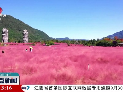 重庆酉阳：追花武陵山间