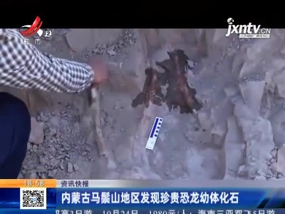 内蒙古马鬃山地区发现珍贵恐龙幼体化石