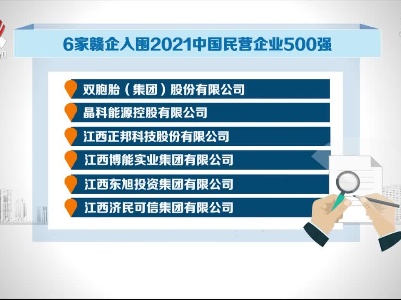 6家赣企入围2021中国民营企业500强