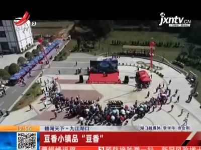 【赣闻天下】九江湖口：豆香小镇品“豆香”