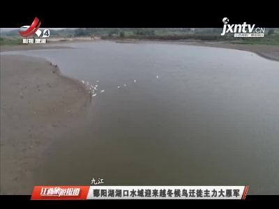 九江：鄱阳湖湖口水域迎来越冬候鸟迁徙主力大雁军