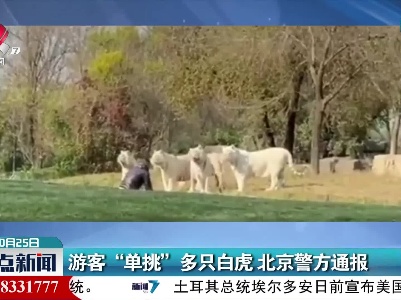游客“单挑”多只白虎 北京警方通报