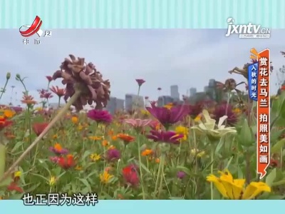 地宝当家20211018