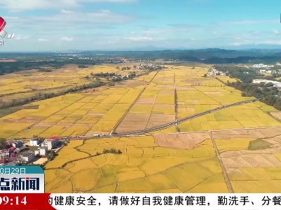 宜丰：20万亩晚稻开镰收割