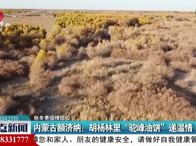 【秋冬季疫情防控】内蒙古额济纳：胡杨林里“驼峰油饼”递温情