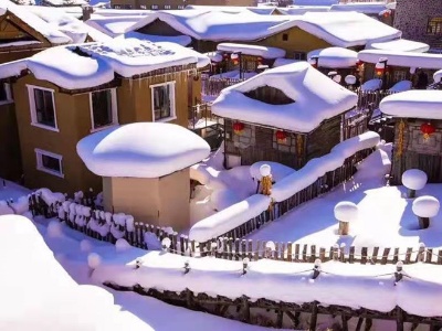 赏壮美冬景享冰雪乐趣 黑龙江来赣推介旅游资源