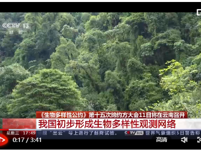记录大量珍贵濒危物种影像 我国初步形成生物多样性观测网络