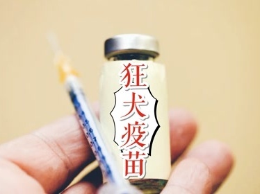 南昌51个接种点公布！可免费注射狂犬疫苗！