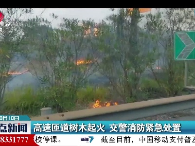 高速匝道树木起火 交警消防紧急处置