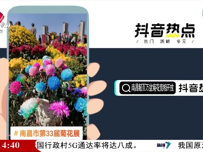 抖音热点榜20211117