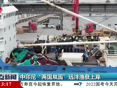 中印尼“两国双园”远洋渔获上岸