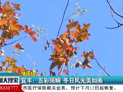 新闻大搜索20211130