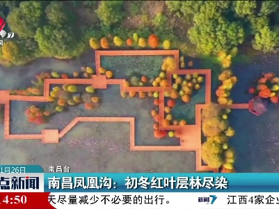 南昌凤凰沟：初冬红叶层林尽染