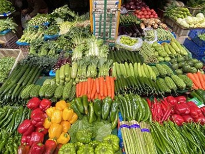 商务部部署今冬明春蔬菜等生活必需品市场保供稳价工作