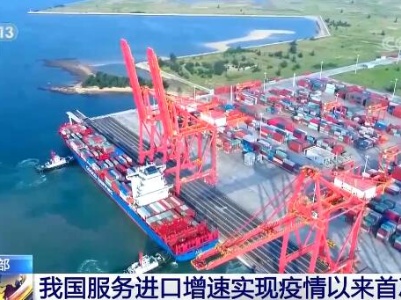 我国服务贸易继续保持快速增长态势 进口增速实现疫情以来首次转正