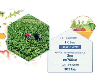 放心！“菜篮子”供应充足