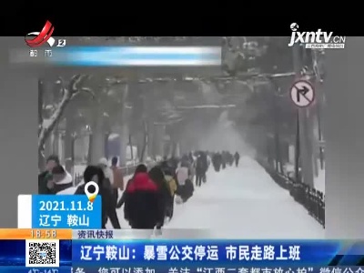 辽宁鞍山：暴雪公交停运 市民走路上班