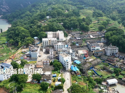 乡村Vlog丨女大学生回乡当“羊倌” 只是为了这样一个愿望…