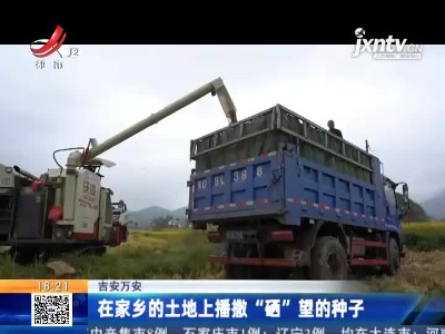 吉安万安：在家乡的土地上播撒“硒”望的种子