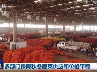 多部门保障秋冬蔬菜供应和价格平稳