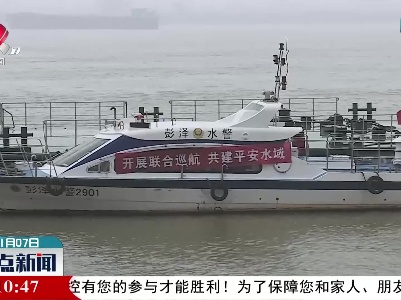 长江彭泽段再现江豚戏水