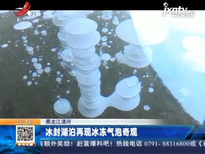 黑龙江漠河：冰封湖泊再现冰冻气泡奇观