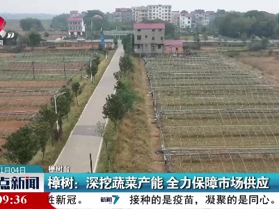樟树：深挖蔬菜产能 全力保障市场供应