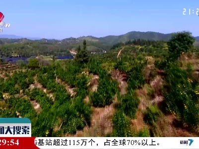 新闻大搜索20211128
