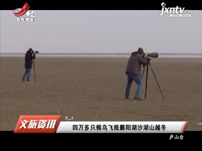 九江：四万多只候鸟飞抵鄱阳湖沙湖山越冬