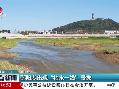 整点新闻20211120 12:00