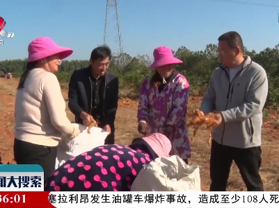佘贻谋：海归IT精英成为中药材种植大户