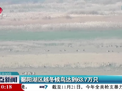 鄱阳湖区越冬候鸟达到63.7万只