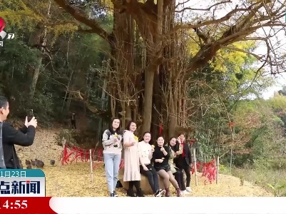 江西：初冬美如画