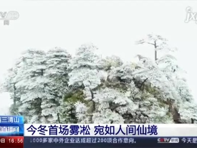 【江西三清山】今冬首场雾凇 宛如人间仙境