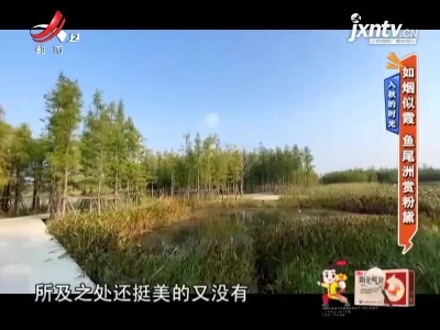 入秋的时光——如烟似霞 鱼尾洲赏粉黛