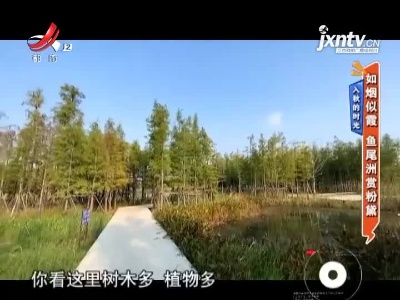 地宝当家20211102