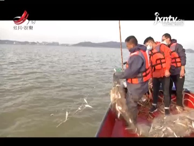 三农要闻20211117