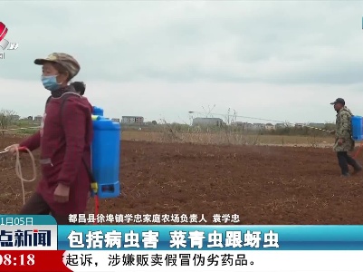 都昌：农技知识入田间 保障冬种增产增收