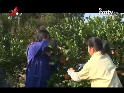 三农要闻20211128