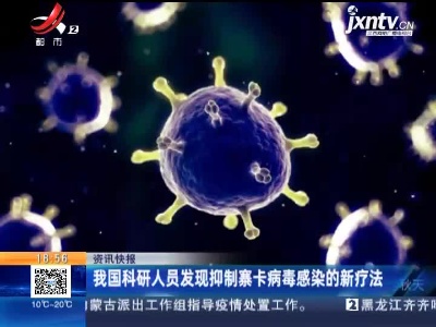 我国科研人员发现抑制寨卡病毒感染的新疗法