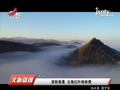 九江：深秋美景 云海红叶相依偎