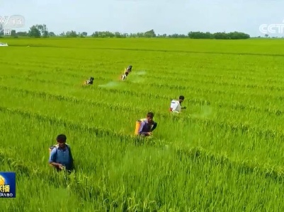 “一带一路”建设高质量推进 中国方案惠及世界