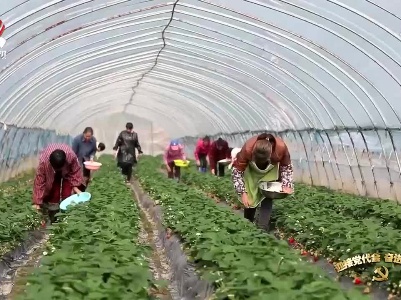 【在习近平新时代中国特色社会主义思想指引下——作示范勇争先 感恩奋进谱新篇】吉安：奋力建设“三区” 挺起江西“中部脊梁”