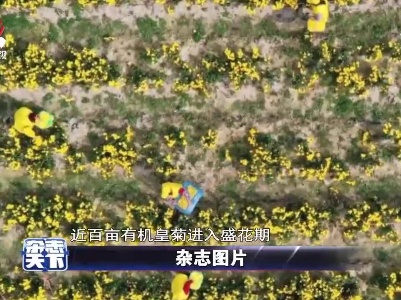 杂志天下20211118