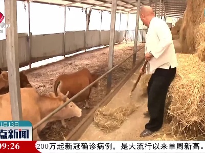 整点新闻20211113 16:00