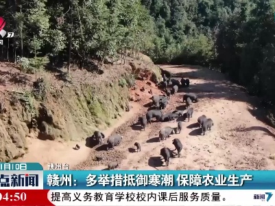 赣州：多举措抵御寒潮 保障农业生产